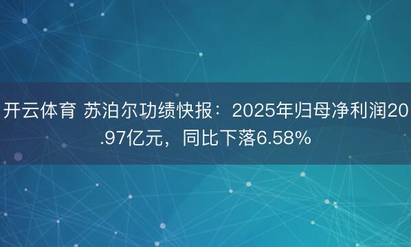 开云体育 苏泊尔功绩快报：2025年归母净利润20.97亿元，同比下落6.58%